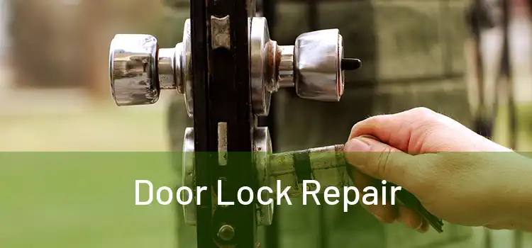 Door Lock Repair