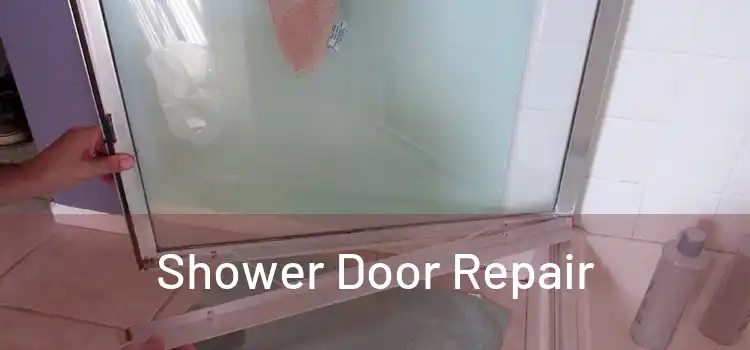  Shower Door Repair 